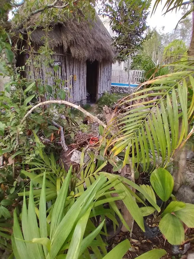 Casa Tunich Ha Tulum Bed and Breakfast 0*,  Messico