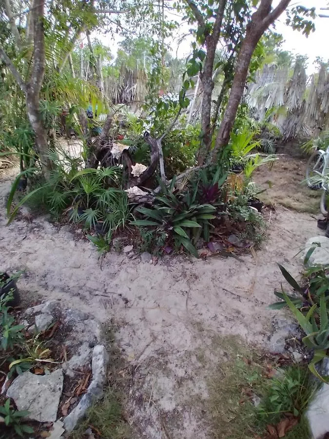 Bed & Breakfast Casa Tunich Ha Tulum Bed and Breakfast Mexico